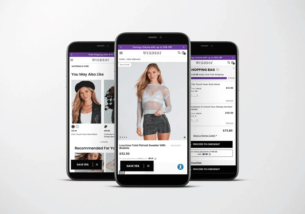 Windsor website preview